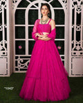 Fancy Net Wedding Lehenga